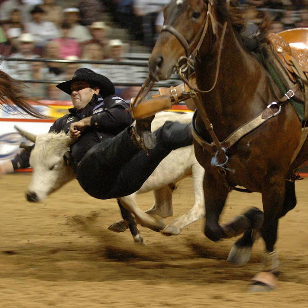 National Finals Rodeo Hotel & Ticket Packages