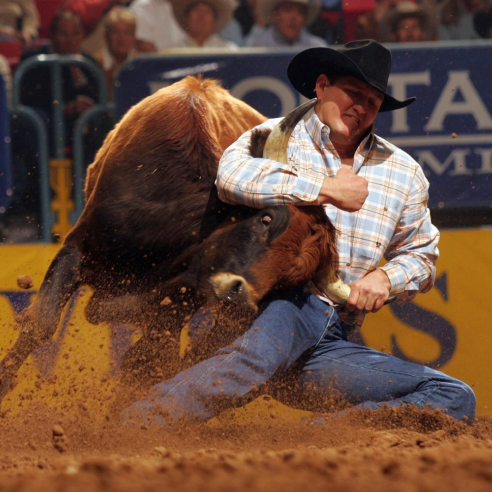 National Finals Rodeo Hotel & Ticket Packages
