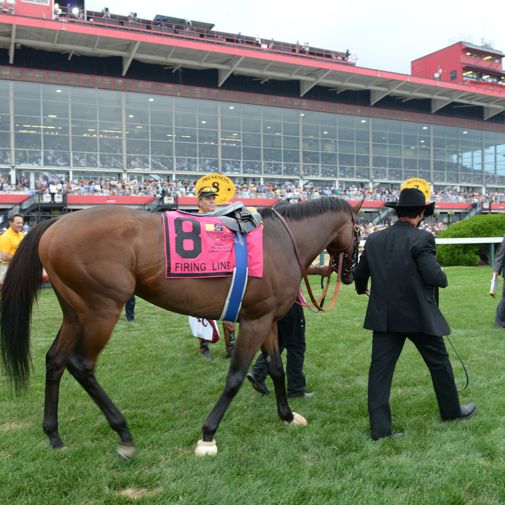 Preakness Stakes Packages