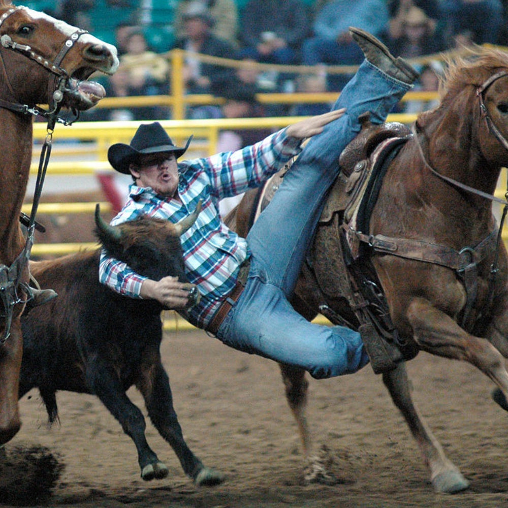 NFR Rodeo Finals Packages